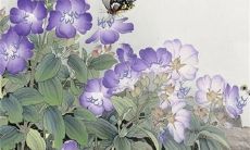 2023年2月20日宜订婚吗 今日提亲好不好