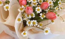 2023年3月1日订亲吉利吗 今日订婚怎么样