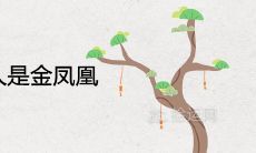 农历几日的女人是金凤凰婚姻美满福气大