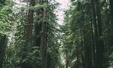 如何防止漏财 怎么避免家中的漏财风水