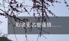 取名更名要谨慎……