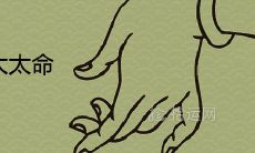 什么时辰女富太太命 注定嫁给好老公的属相