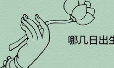 哪几日出生傻人有傻福