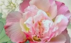 2023年2月18日订亲吉利吗 黄道吉日查询