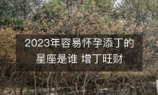 2023年容易怀孕添丁的星座是谁 增丁旺财