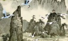 2023年2月11日适合动土吗 今日日子好不好