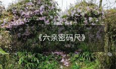 《六亲密码尺》