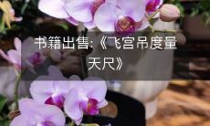 书籍出售:《飞宫吊度量天尺》