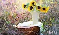 2024年正式换大运 转大运前一年就有变化