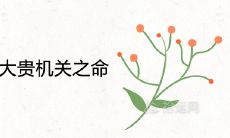 四两乃大富大贵机关之命是真的吗 能发财吗