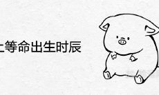 属猪上等命出生时辰 几点出生是富贵命
