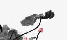 2023年2月9日是提车好日子吗 老黄历查询