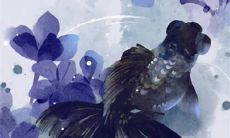 2023年1月31日适合提车吗 黄历宜忌分析