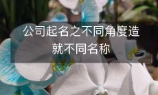 公司起名之不同角度造就不同名称