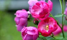 十二星座中谁没有文学天赋一切都只能说“我也是”