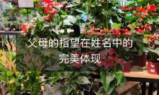 父母的指望在姓名中的完美体现