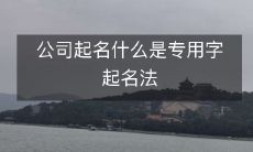 公司起名什么是专用字起名法