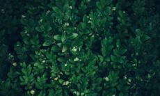 2023年属兔的运势和财运 事业运势会上升