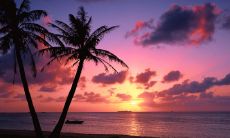 2023年属龙人的全年运势 会是生肖龙的巅峰年