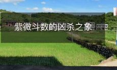 紫微斗数的凶杀之象