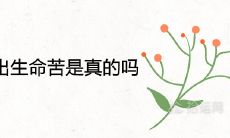 男人酉时出生命苦是真的吗 一生婚姻及命运如何