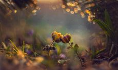 高层的磁场不太好 污浊之气环绕