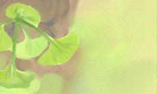 如何打造家居客厅好风水