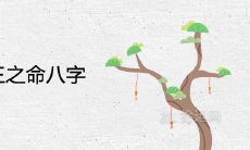 强大的帝王之命八字 富贵命上等出生日期