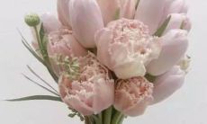 2023年二月份中最适合订婚的好日子 本月订婚吉日一览表