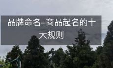 品牌命名-商品起名的十大规则