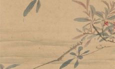 2023年2月13日适宜提车吗 这天日子如何