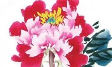 2023年2月20日适合提新车吗 今天日子如何