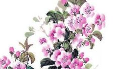 2023年2月23日适宜提车吗 这天日子如何