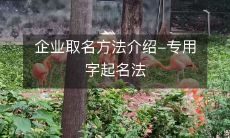 企业取名方法介绍-专用字起名法