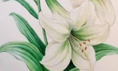 2023年2月22日提车好不好 是提新车的吉日吗