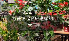 为餐馆起名应遵循的四大原则