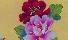 2023年2月27日提车好不好 是提新车的吉日吗