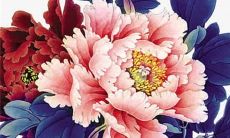 2023年2月24日可以提车吗 日子好不好