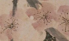 2023年2月14日情人节可以提车吗 日子好不好