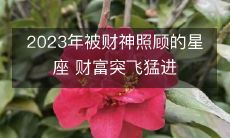 2023年被财神照顾的星座 财富突飞猛进