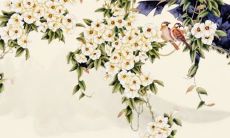 结婚什么颜色的车 结婚买红色的车好吗