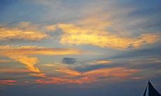 蛇和龙的孩子属猪会怎样 龙蛇夫妻生什么宝宝最好