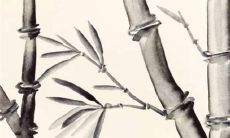 结婚来例假买白布干嘛用 结婚叫门怎么喊