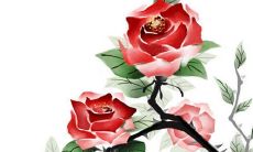 2023年2月14日情人节订婚好不好 老黄历查询