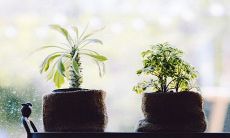 立夏为什么要吃蛋 有什么风俗习惯