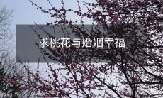 求桃花与婚姻幸福