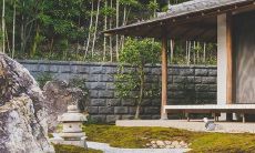 茶花树放在家里不吉利吗 有什么风水禁忌