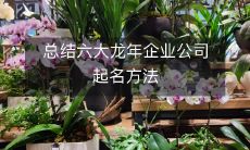 总结六大龙年企业公司起名方法