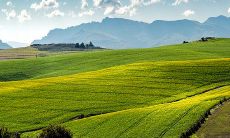 梦见你的家人生病有什么寓意