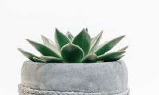 五帝钱门对门需2个门都挂吗 正确挂的方法